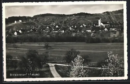 AK Birmenstorf, Ortsansicht im Frühling