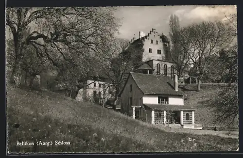 AK Bellikon, Schloss