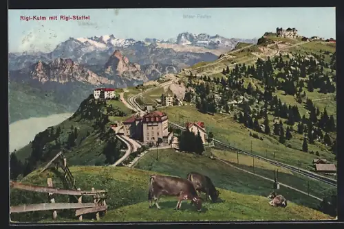 AK Rigi-Kulm, Hotels mit Rigi-Staffel und Böser Faulen, Kühe