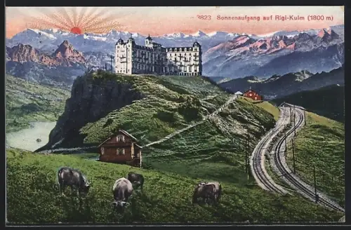 AK Rigi-Kulm, Hotel mit Kühen bei Sonnenaufgang