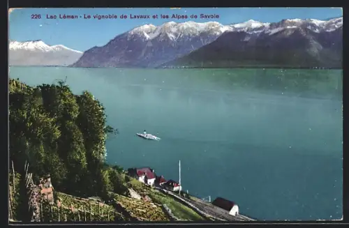 AK Lavaux /Lac Léman, Le vignoble de Lavaux et les Alpes de Savoie