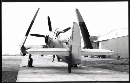 Fotografie Flughafen Lübeck-Blankensee, Flugzeug Hawker Sea Fury T205 D-COCO, Deutscher Luftfahrt Beratungsdienst