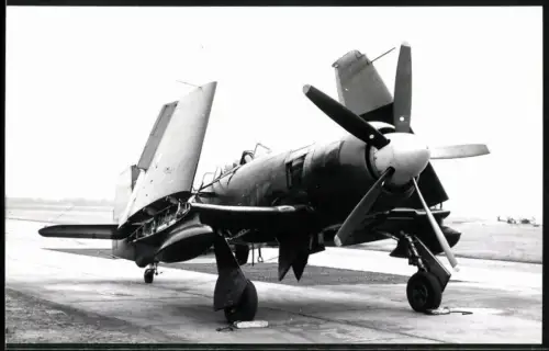 Fotografie Flughafen Lübeck-Blankensee, Flugzeug Hawker Sea Fury T205 D-COCO, Deutscher Luftfahrt Beratungsdienst