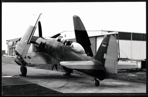 Fotografie Flughafen Lübeck-Blankensee, Flugzeug Hawker Sea Fury T205 D-COCO, Deutscher Luftfahrt Beratungsdienst
