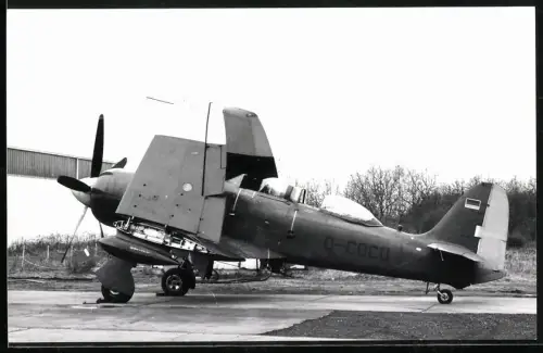 Fotografie Flughafen Lübeck-Blankensee, Flugzeug Hawker Sea Fury T205 D-COCO, Deutscher Luftfahrt Beratungsdienst