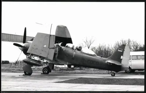 Fotografie Flughafen Lübeck-Blankensee, Flugzeug Hawker Sea Fury T205 D-COCO, Deutscher Luftfahrt Beratungsdienst