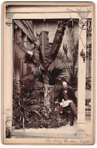 Fotografie Otto Scharf, Crefeld, Ansicht Krefeld, Herr posiert neben einer Bananenstaude im botanische Garten