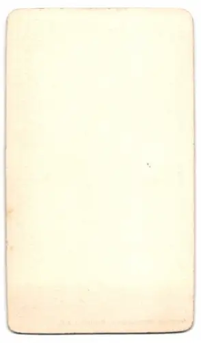 Fotografie Gebr. Bingenheimer, Neustadt a. d. H., Geschwistermädchen in Biedermeierkleidern mit Harrreifen