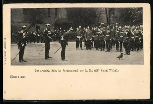 AK Der dressierte Rabe im Parademarsch vor Kaiser Wilhelm II.