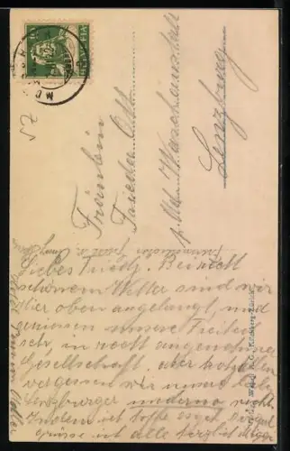 AK Morschach, Teilansicht vom Flugzeug aus