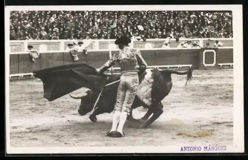 Foto-AK Torero in Uniform neben dem Stier