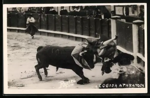 AK Torero wird von einem Stier umgeworfen