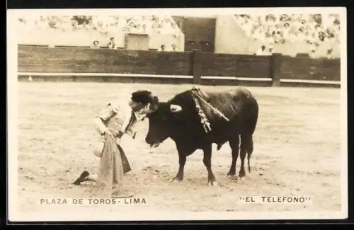 AK Lima, Torero mit dem Stier
