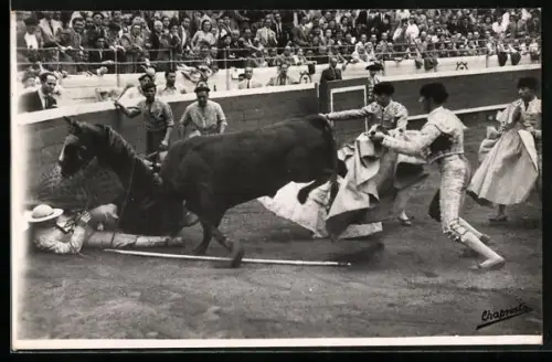 AK Picador and horse thrown against wooden wall by the bull