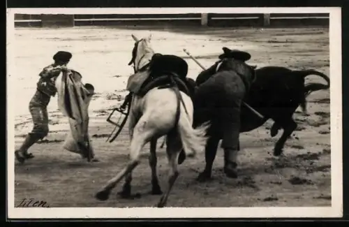 Foto-AK Pferd zwischen dem Torero und dem Stier