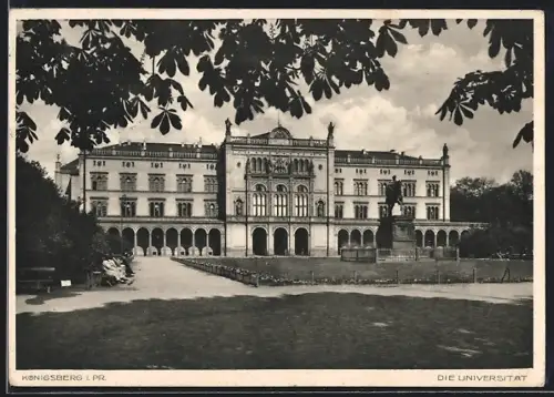 AK Königsberg, Universität