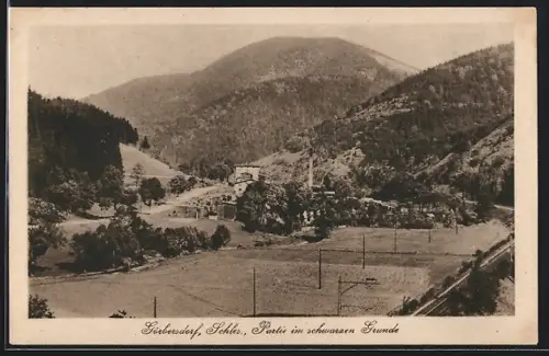 AK Görbersdorf /Schl., Partie im schwarzen Grunde
