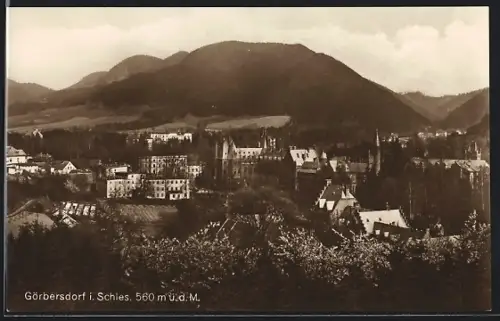 AK Görbersdorf i. Schles., Totalansicht aus der Vogelschau