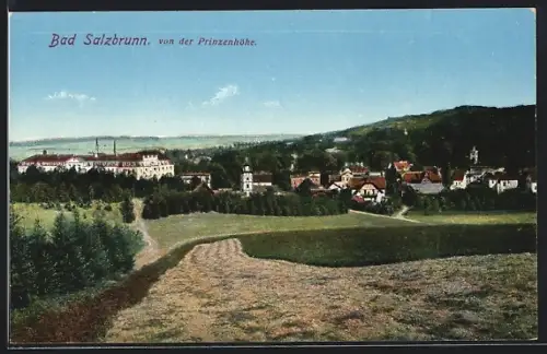 AK Bad Salzbrunn, Ortspanorama von der Prinzenhöhe