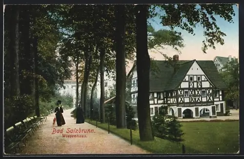 AK Bad Salzbrunn, Wiesenhaus und Promenade