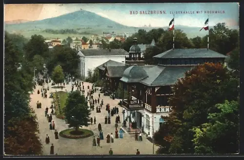 AK Bad Salzbrunn, Elisenhalle mit Hochwald aus der Vogelschau