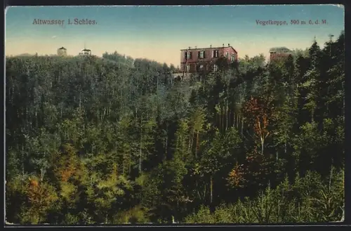 AK Altwasser i. Schles., Vogelkuppe mit Gebäuden u. Turm