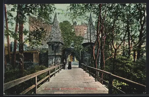 AK Fürstenstein, Alte Burg Fürstenstein, Eingang
