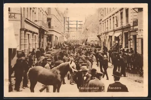 AK Randers, Hestenmarked