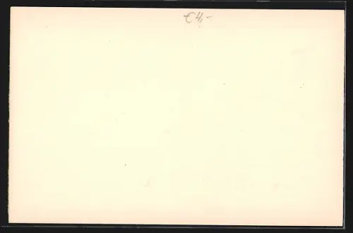 AK Budapest, Waitzner-Ring