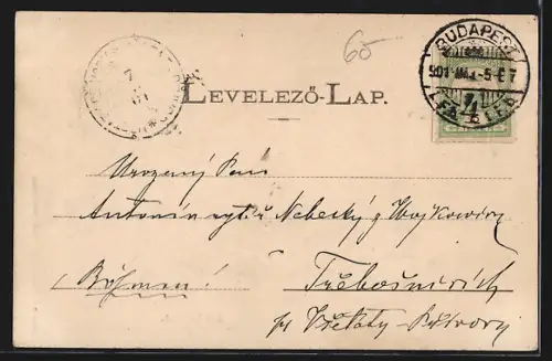 AK Budapest, Kir. várpalota a budai oldaról