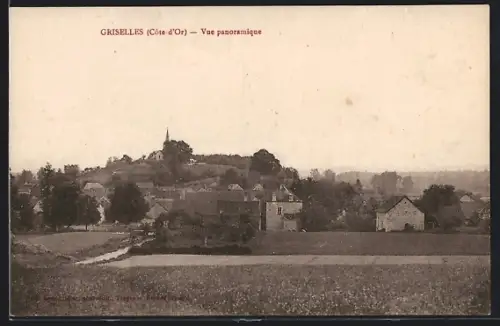 AK Griselles /Cote-d`Or, Vue panoramique