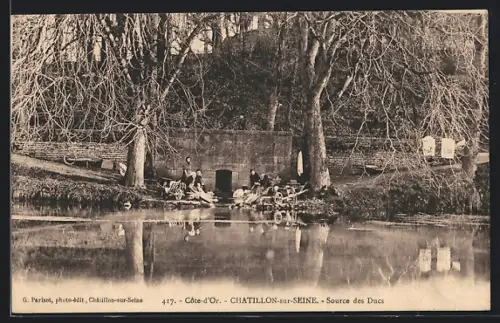 AK Chatillon-sur-Seine, Source des Ducs