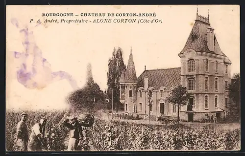 AK Bourgogne, Chateau de Corton-Andre
