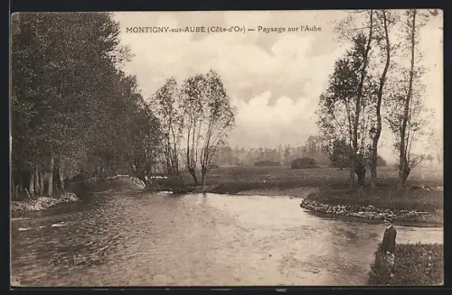 AK Montigny-sur-Aube /Côte-d`Or, Paysage sur l`Aube