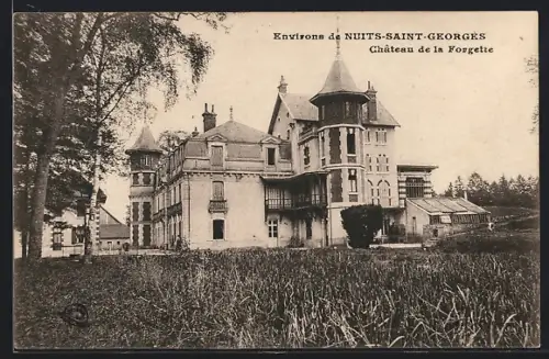AK Nuits-Saint-Georges, Chateau de la Forgeotte