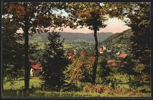AK Kirchleerau, Teilansicht mit Bäumen