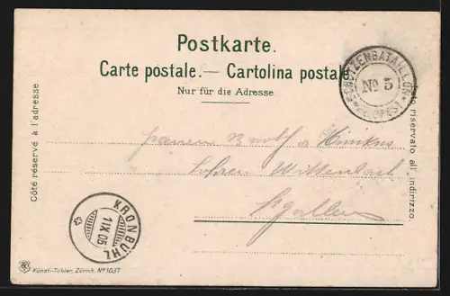 AK Lenzburg, Burg aus der Vogelschau