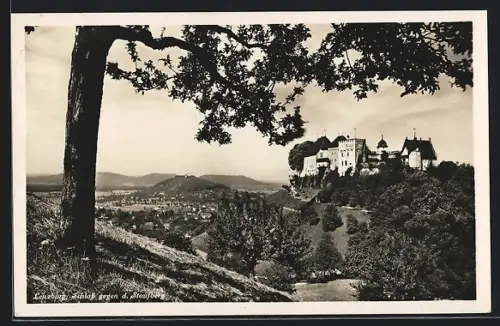 AK Lenzburg, Schloss gegen den Staufberg