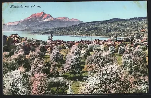 AK Küssnacht, Ortsansicht mit Blick auf den Pilatus in der Dämmerung