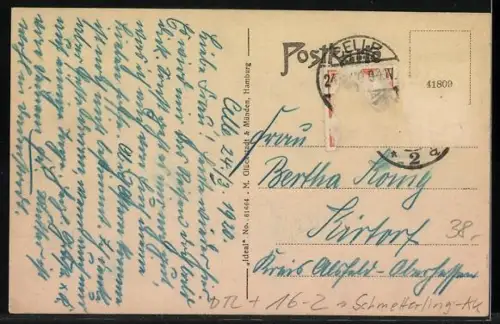 Schmetterling-AK Celle, Dame mit Schmetterlingsflügeln, Hafen, Schloss, Denkmal Ernst der Bekenner, Allerbrücke