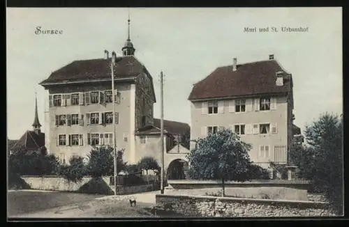 AK Sursee, Muri und St. Urbanshof, Panorama, Kirche