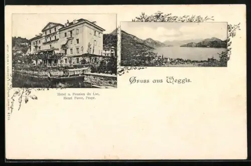 AK Weggis, Hotel und Pension du Lac, Blick auf den See