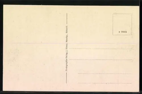 AK Ettiswil-Alberswil, Armenanstalt Ettiswil-Alberswil aus der Vogelschau, mit Arbeitspferden