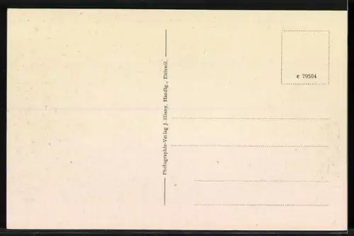 AK Ettiswil-Alberswil, Armenanstalt Ettiswil-Alberswil aus der Vogelschau, Arbeitspferde