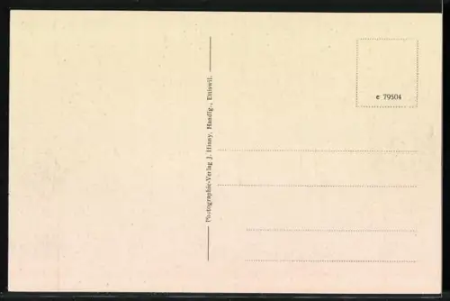 AK Ettiswil-Alberswil, Armenanstalt Ettiswil-Alberswil aus der Vogelschau, Panorama mit Arbeitspferden