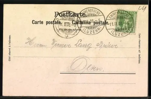 AK Emmen /LU, Gasthof und Pension Emmenbaum, Jägerstube mit verkleideten Gästen, um 1900