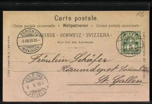 Lithographie Rorschach, Totalansicht mit Hafen