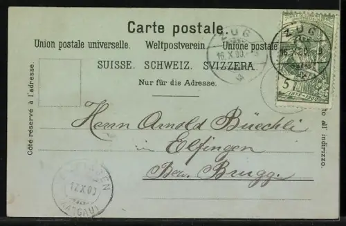 Lithographie Zug, Totalansicht mit Gebirgspanorama