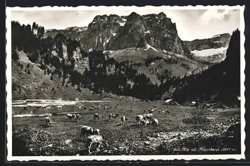 AK Bisisthal, Sali-Alp, Kühe auf der Weide mit Märenberge