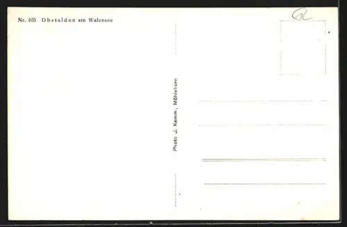AK Obstalden am Walensee, Teilansicht mit Bergen